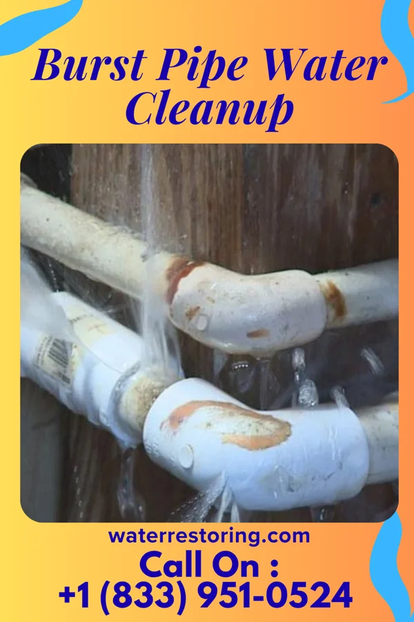 Burst Pipe Water Cleanup in Elizabethtown, OH