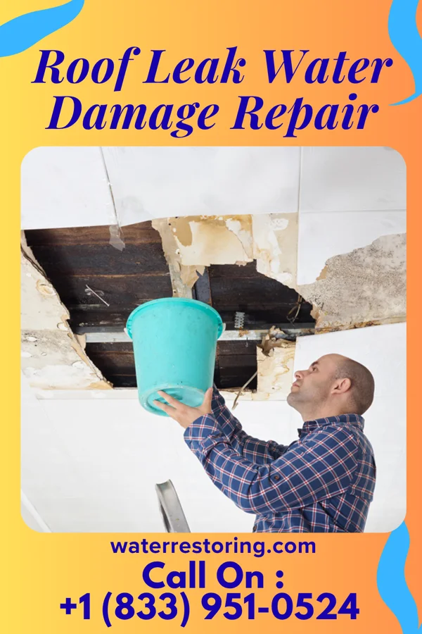 Roof Leak Water Damage Repair in Elizabethtown, OH